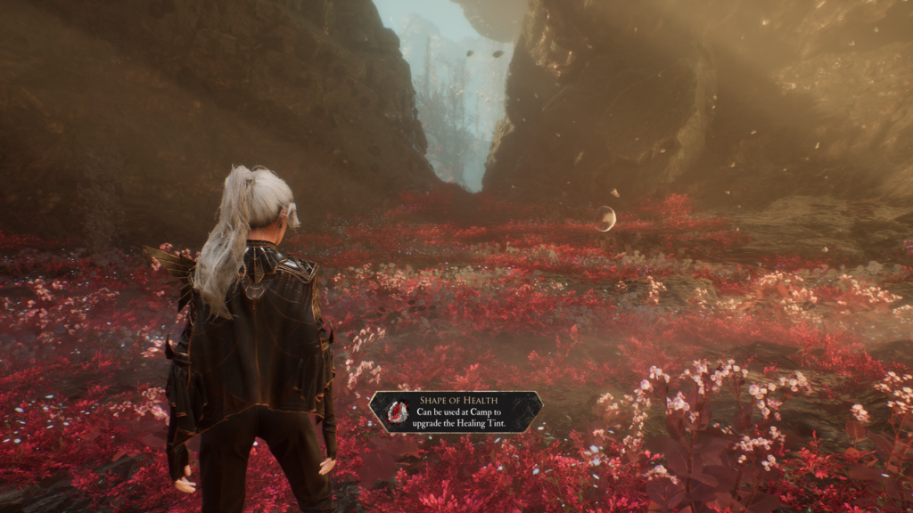 Clair Obscur Expedition 33 Tint Upgrade Locations