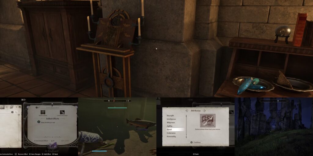 Developer Room in Oblivion Remastered