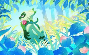 Floragato (A2b 006)