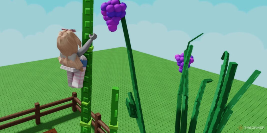 Grape Seed in Grow a Garden