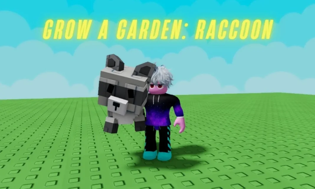 Raccoon Pet in Grow a Garden (Roblox)