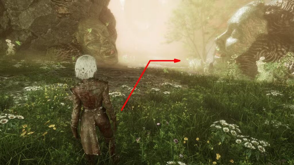 Visages Chroma Catalyst in Clair Obscur: Expedition 33