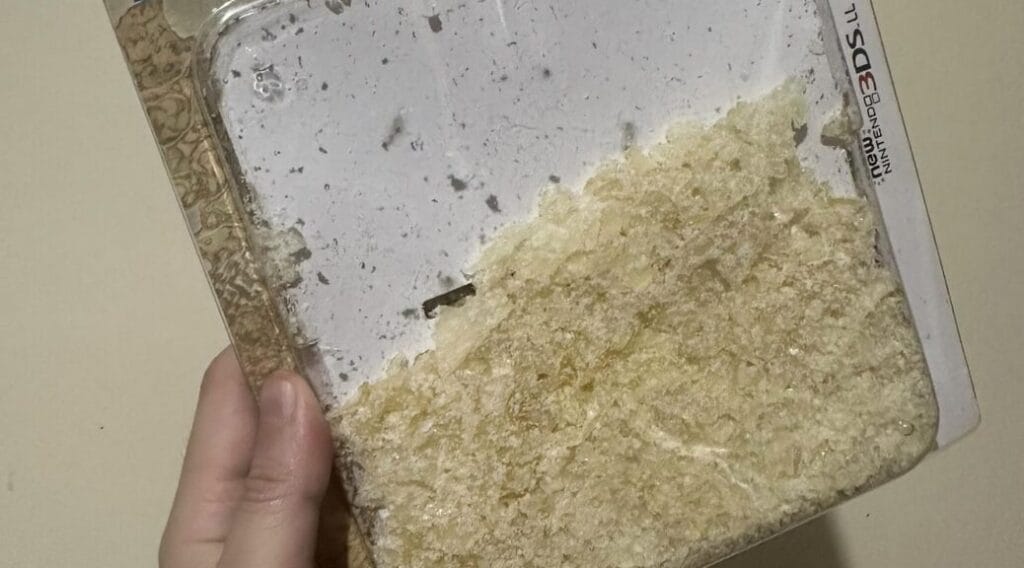 Nintendo Case Dust