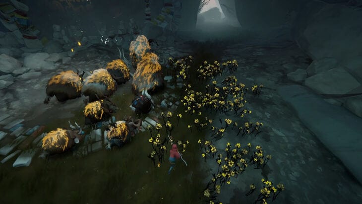 Yellow Flowers of Herdling
