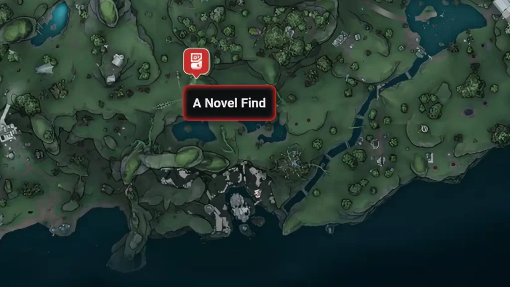 A Novel Find in Borderlands 4