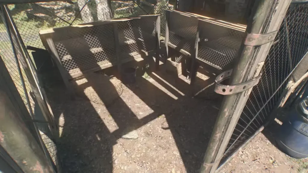 Chicken Coops