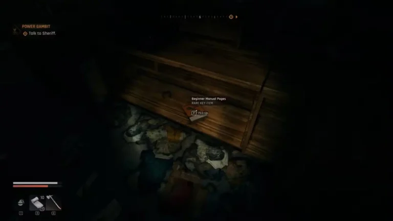 Dying Light The Beast Beginner Manual Page