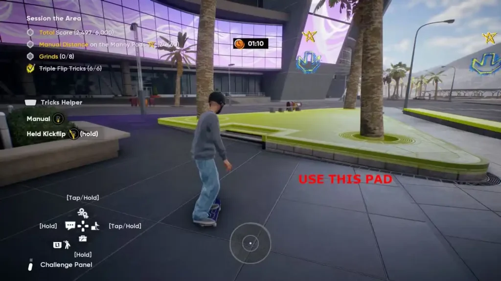Skate 4 Ill Ledgible Pad