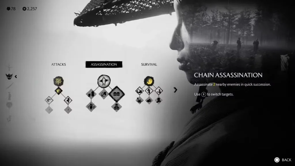 Chain Assassination: Double the Kills, Zero the Alerts