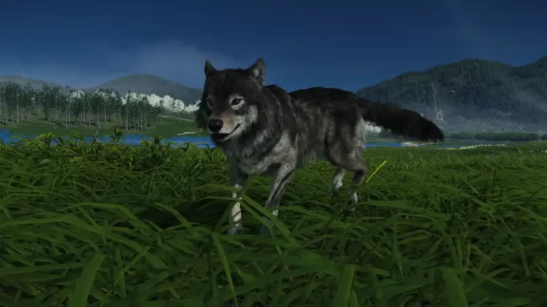 The Wolf in Ghost of Yotei