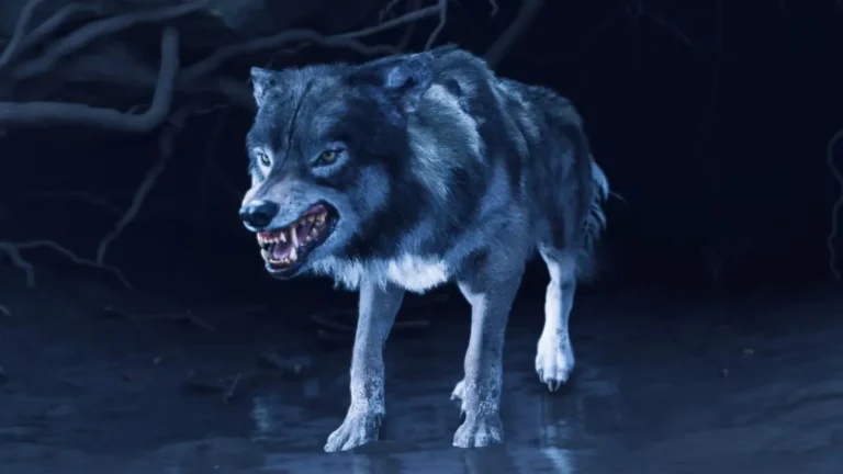 The Wolf in Ghost of Yotei