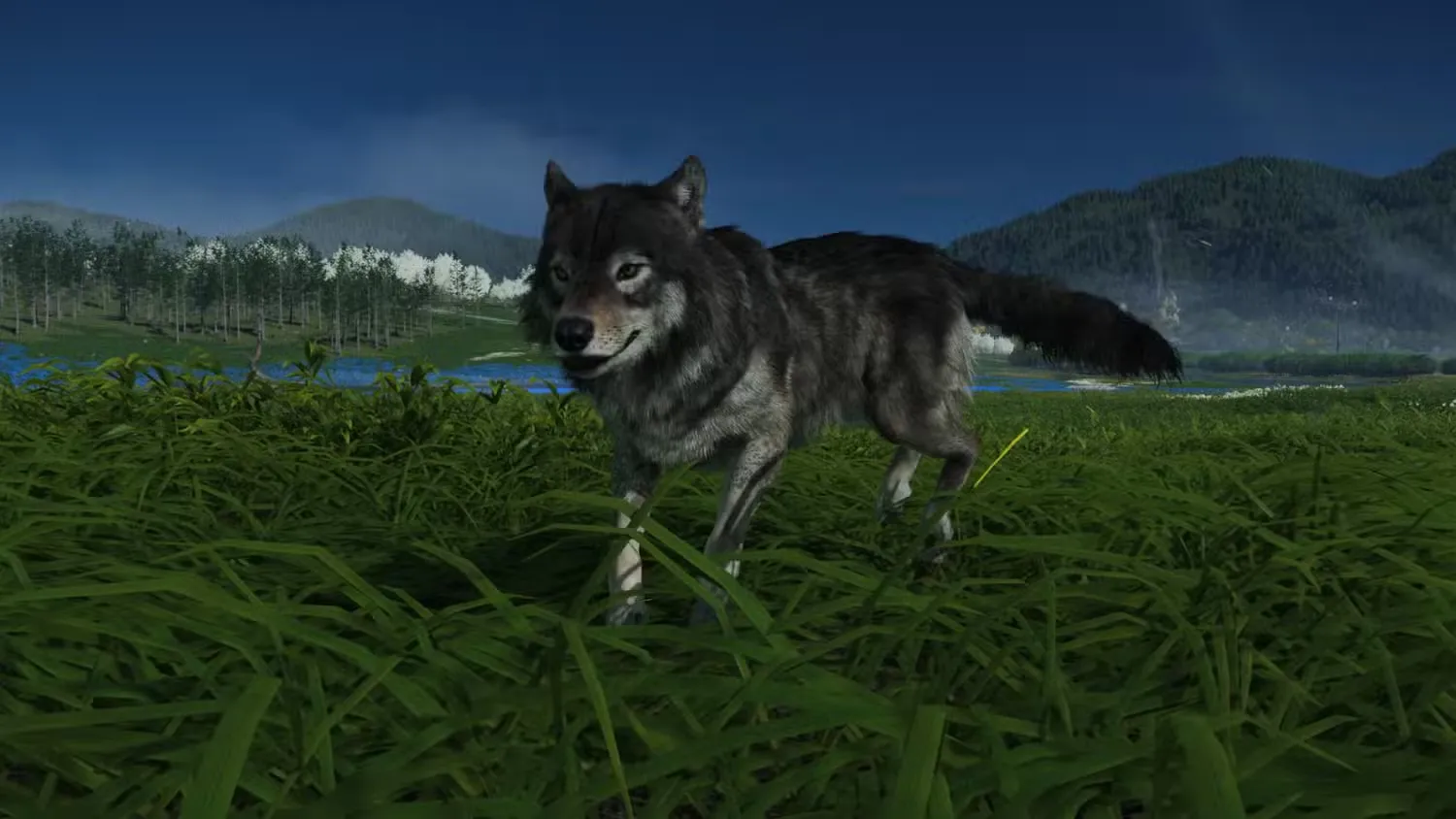 The Wolf in Ghost of Yotei