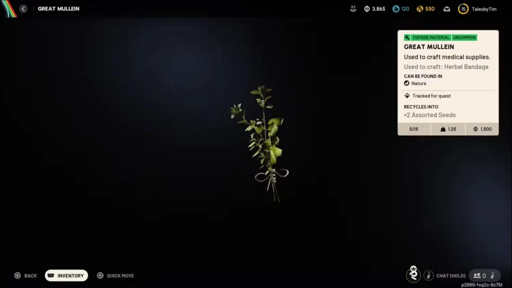 Great Mullein: The Abundant Plant