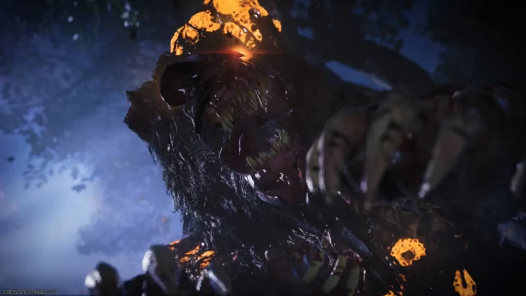 attacked by the hvt bear