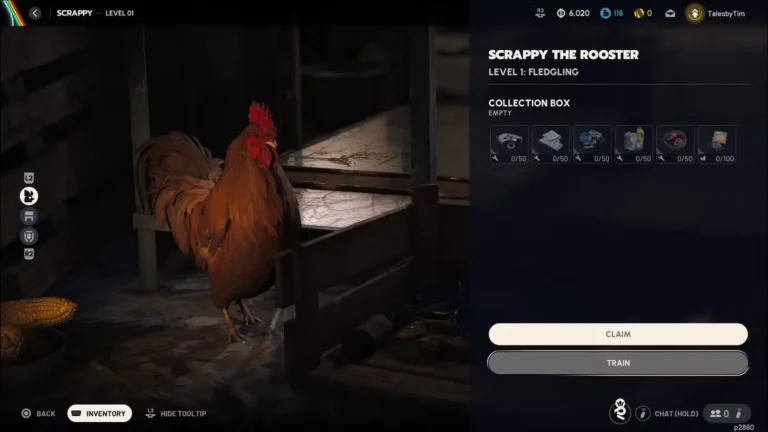 using dog collar in arc raiders