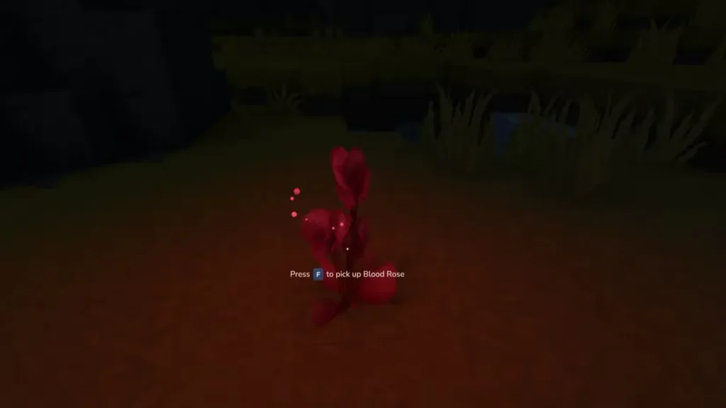 blood rose in hytale