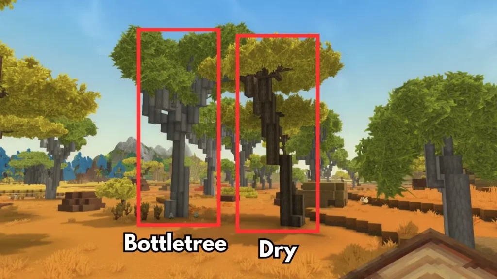 bottle dry tree drywood in hytale