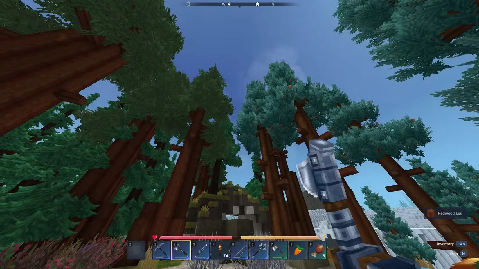 darkwood in hytale