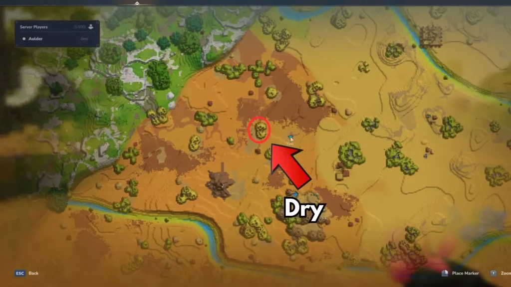 Dry Tree Drywood in Hytale