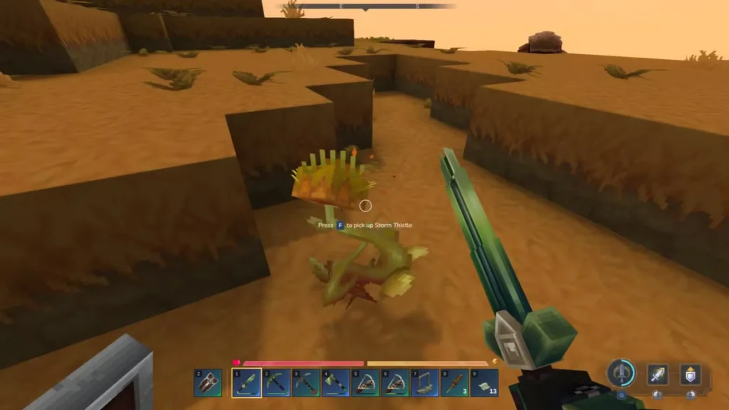 find storm thistle in hytale