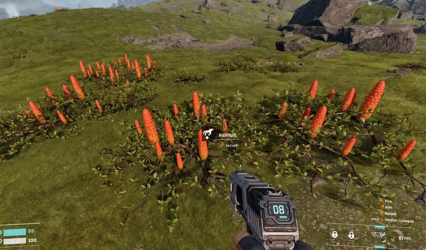 getting food in starrupture