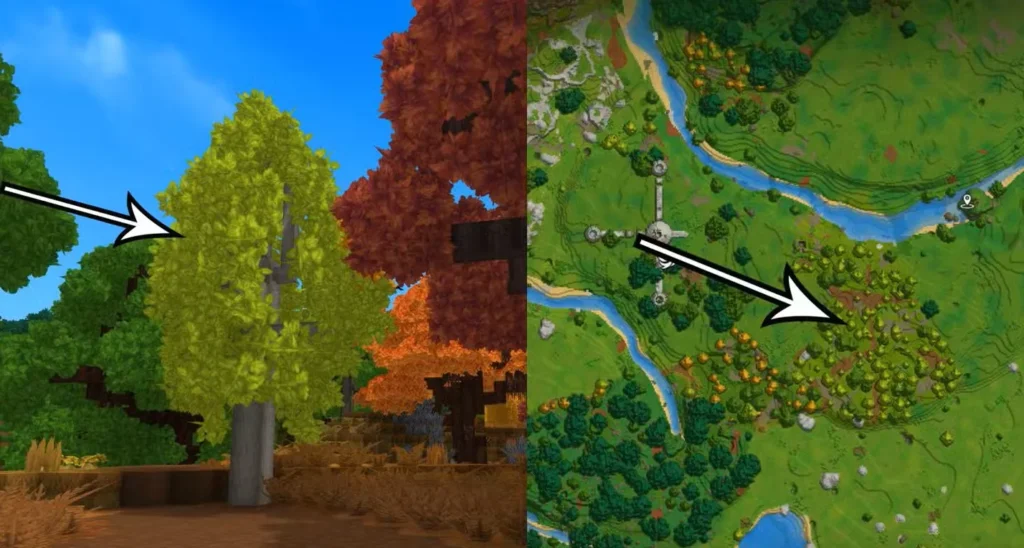 lightwood trees in hytale 