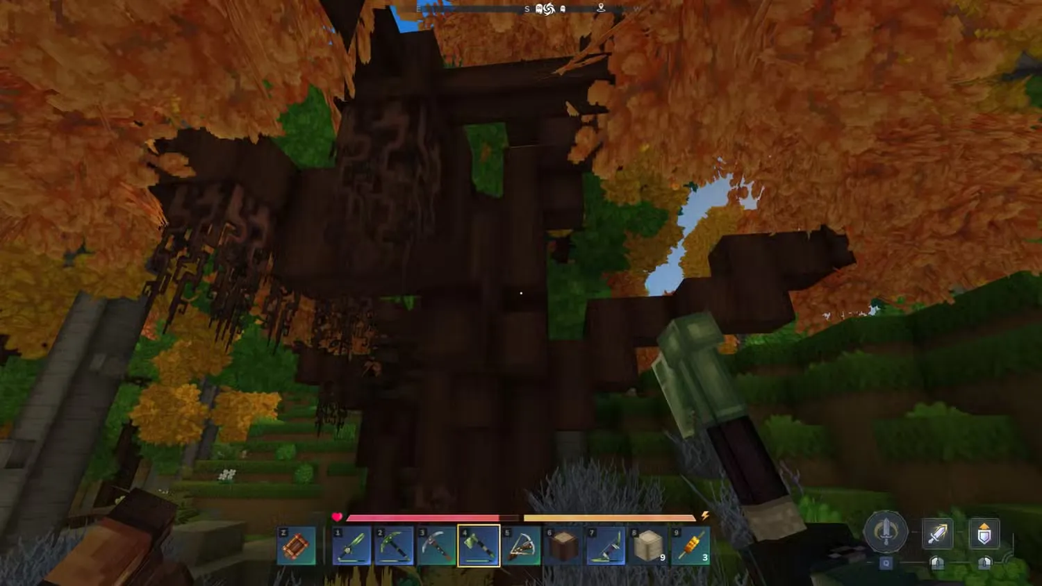 oak tree in hytale