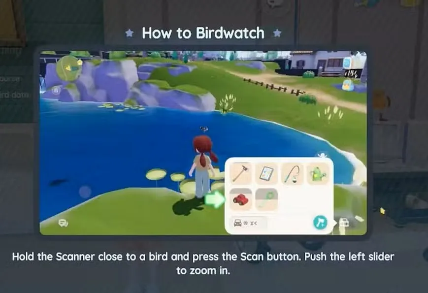 how to birdwatch heartopia tutorial