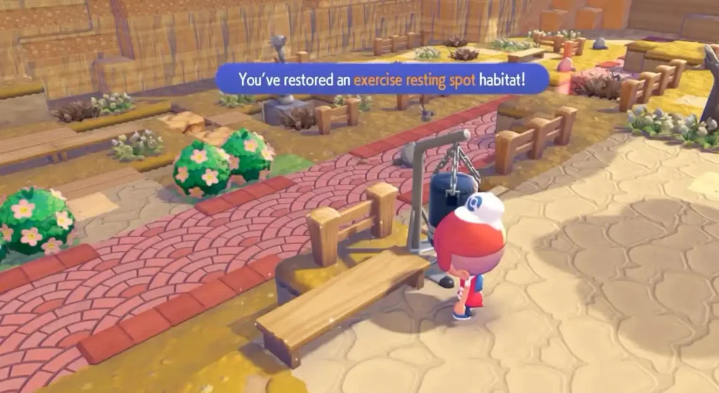 exercise resting spot habitat pokopia