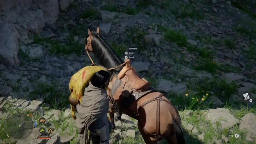 load blix on horse crimson desert