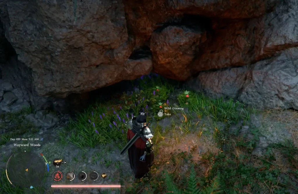 how to get wild ginseng in crimson desert 2