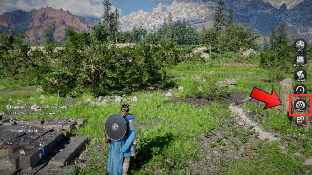 how to hide helmet crimson desert