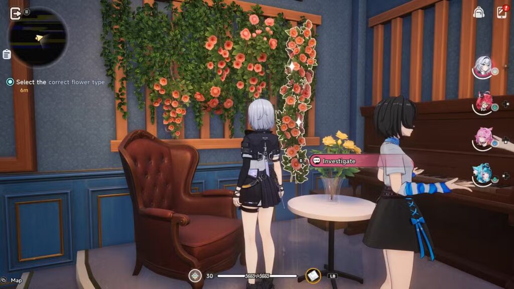 Visit the Flower Shop and Choose the Right Flower